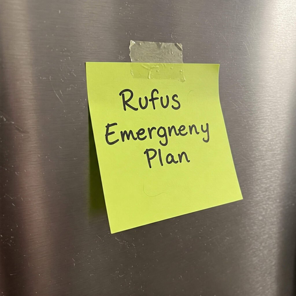 Pet Emergency Plan