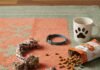 How to Choose the Right Pet Accessories for Your Dog or Cat? Chaotic Pet Accessories: Humorous Snapshot