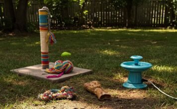 Top 10 Pet Toys That Are Actually Good for Your Pet’s Health Pet Backyard Chaos: Bone, Post, Fountain