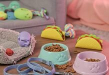 5 Tips to Make Your Pet’s Daily Care Easier and More Effective Chaotic Pet Joy: Leash, Kibble, Toys