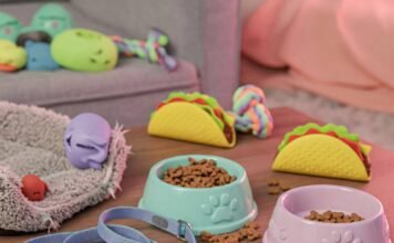 5 Tips to Make Your Pet’s Daily Care Easier and More Effective Chaotic Pet Joy: Leash, Kibble, Toys