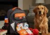 What to Pack in Your Pet’s Emergency Kit: A Complete Guide Pet Emergency Kit and Worried Dog