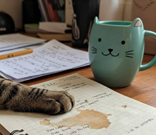 The Ultimate Cat Care Guide: Everything You Need to Know Cozy Cat Care Desk