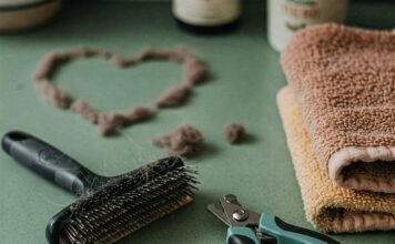 Top Grooming Tools Every Pet Owner Needs in Their Kit Pet Grooming Mess