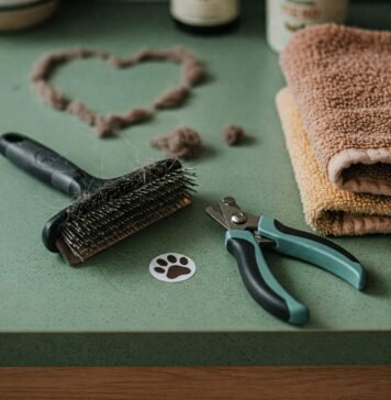 Top Grooming Tools Every Pet Owner Needs in Their Kit Pet Grooming Mess
